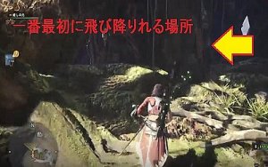 モンハンワールド 太古の大骨 簡単オススメ入手方法 ルート詳細まとめ Mhw 皆で一緒にモンハンライフriseライズ攻略 情報